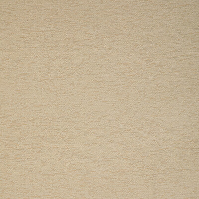 KRAVET SMART INDOOR / OUTDOOR TEXTURE IVORY,WHITE,BEIGE   - 37002.116.0