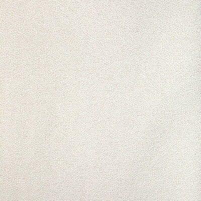 KRAVET DESIGN INDOOR / OUTDOOR TEXTURE WHITE,WHITE,   - 37052.101.0