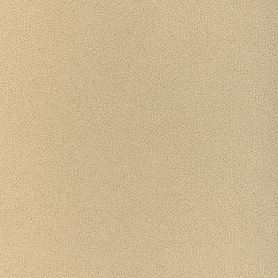 KRAVET DESIGN INDOOR / OUTDOOR TEXTURE CAMEL,BEIGE,BEIGE   - 37052.16.0