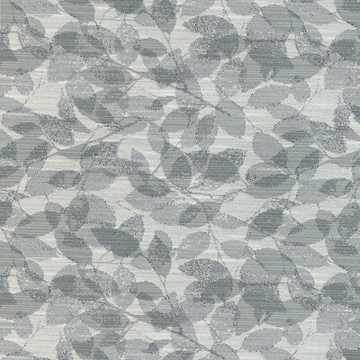 KRAVET CONTRACT CRYPTON BOTANICAL & FLORAL GREY,BLACK,GREY   - 37053.11.0