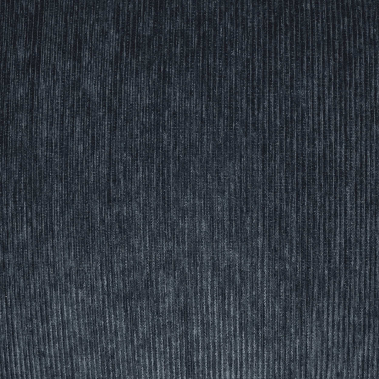 Dark indigo corduroy fabric close-up with vertical wales, soft textured textile for jackets or upholstery.
