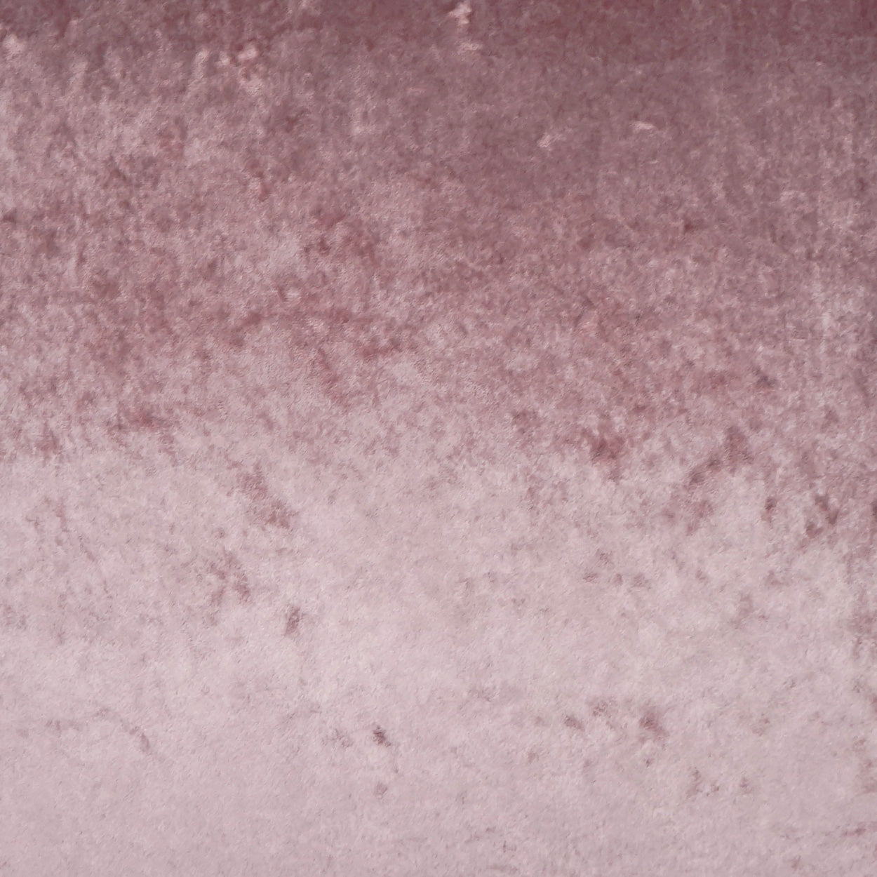 Dusty rose velvet fabric swatch with a soft gradient from deep mauve to pale pink.