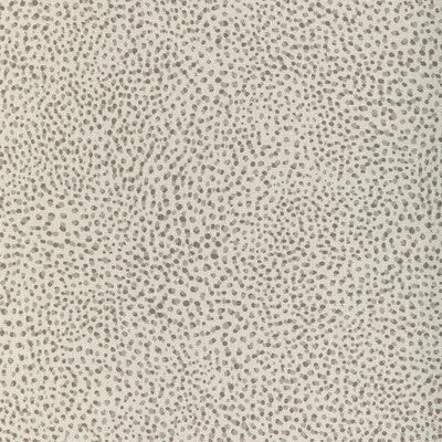 KRAVET COUTURE INDOOR / OUTDOOR ANIMAL SKINS WHITE,BROWN,GREY   - 37258.21.0