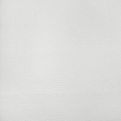 KRAVET COUTURE INDOOR / OUTDOOR TEXTURE WHITE,WHITE,WHITE   - 37259.101.0