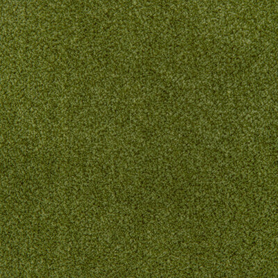 KRAVET DESIGN VELVET TEXTURE CELERY,CELERY,GREEN   - 37310.23.0