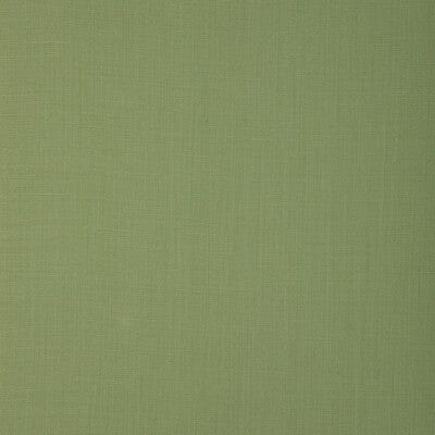 KRAVET DESIGN LINEN TEXTURE GREEN,,GREEN   - 37318.23.0