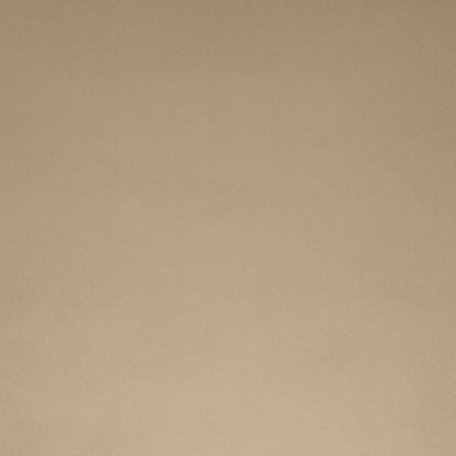 D.V. KAP HOME   22" x 22" Posh Box Pillow - Latte Solid, Transitional    - 3733-L-2222