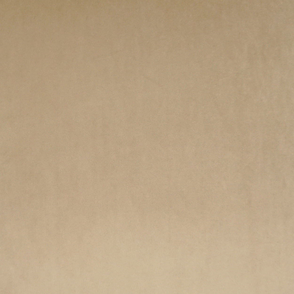 D.V. KAP HOME   24" x 24" Posh Duo Pillow - Latte Solid, Transitional    - 3736-L-2424