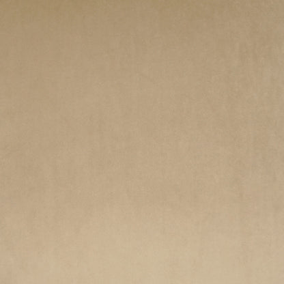 D.V. KAP HOME   24" x 24" Posh Duo Pillow - Latte Solid, Transitional    - 3736-L-2424