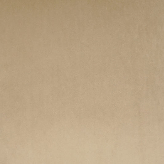 D.V. KAP HOME 3736-L-YARD Posh Duo Fabric - Latte Solid, Transitional  Tan,Taupe   - Posh Duo