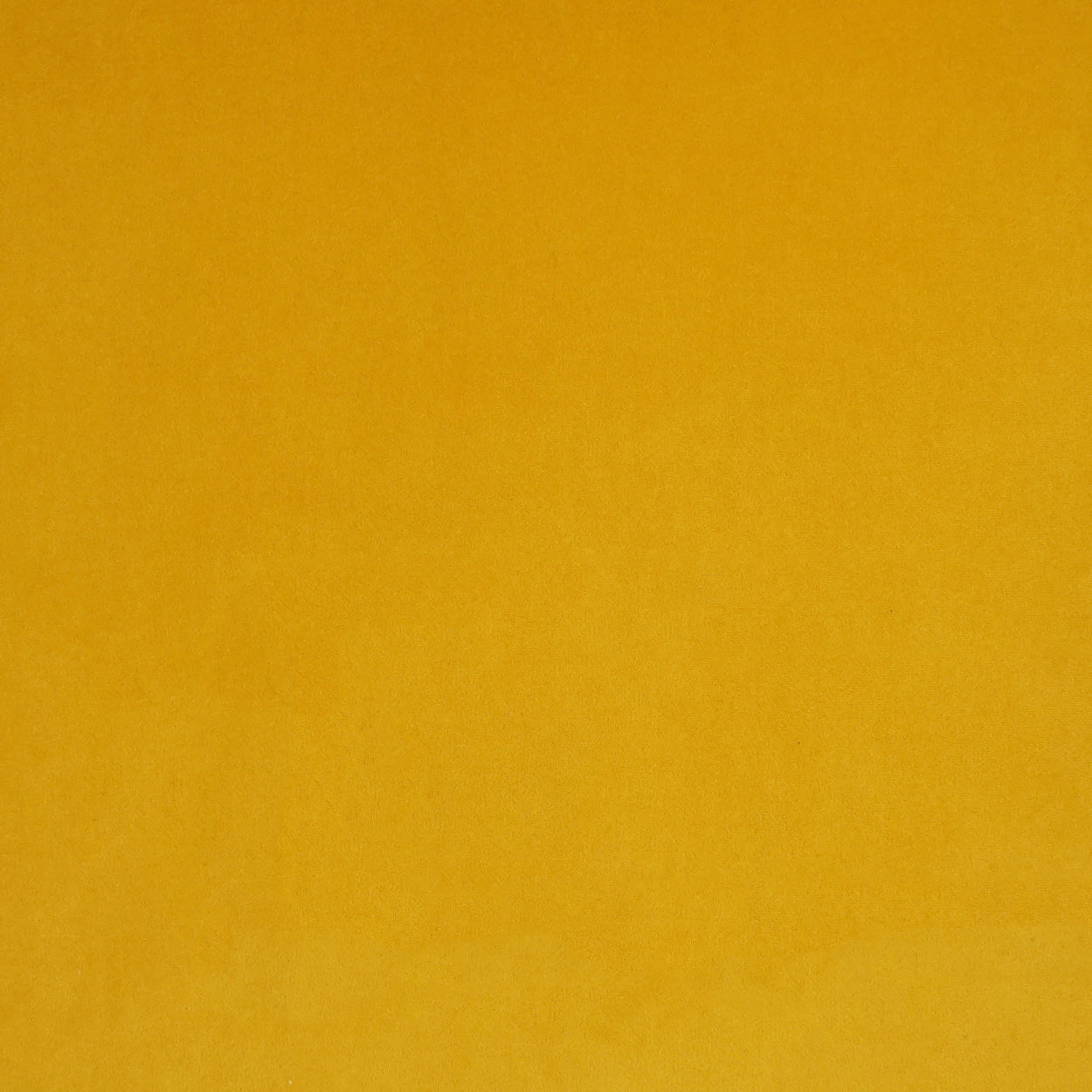 Mustard yellow fabric swatch, solid color, square shape; ideal for sewing projects or craft decor.