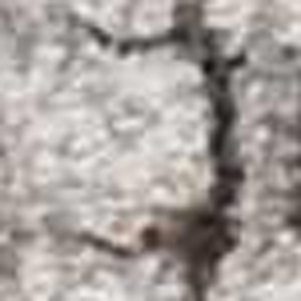 3' X 5' Gray And Black Abstract Area Rug