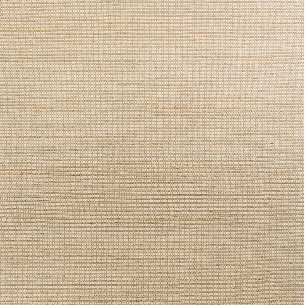 5' X 7' Tan And Ivory Hand Woven Area Rug