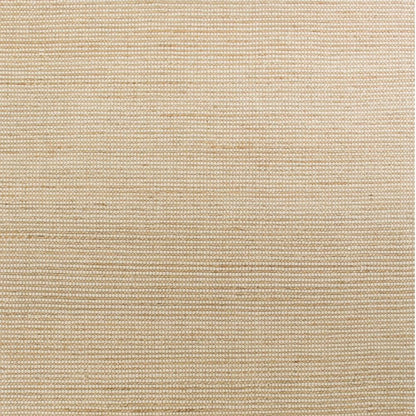 5' X 7' Tan And Ivory Hand Woven Area Rug