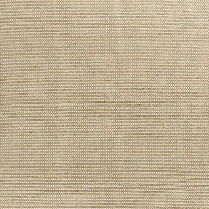 5' X 7' Tan And Ivory Hand Woven Area Rug