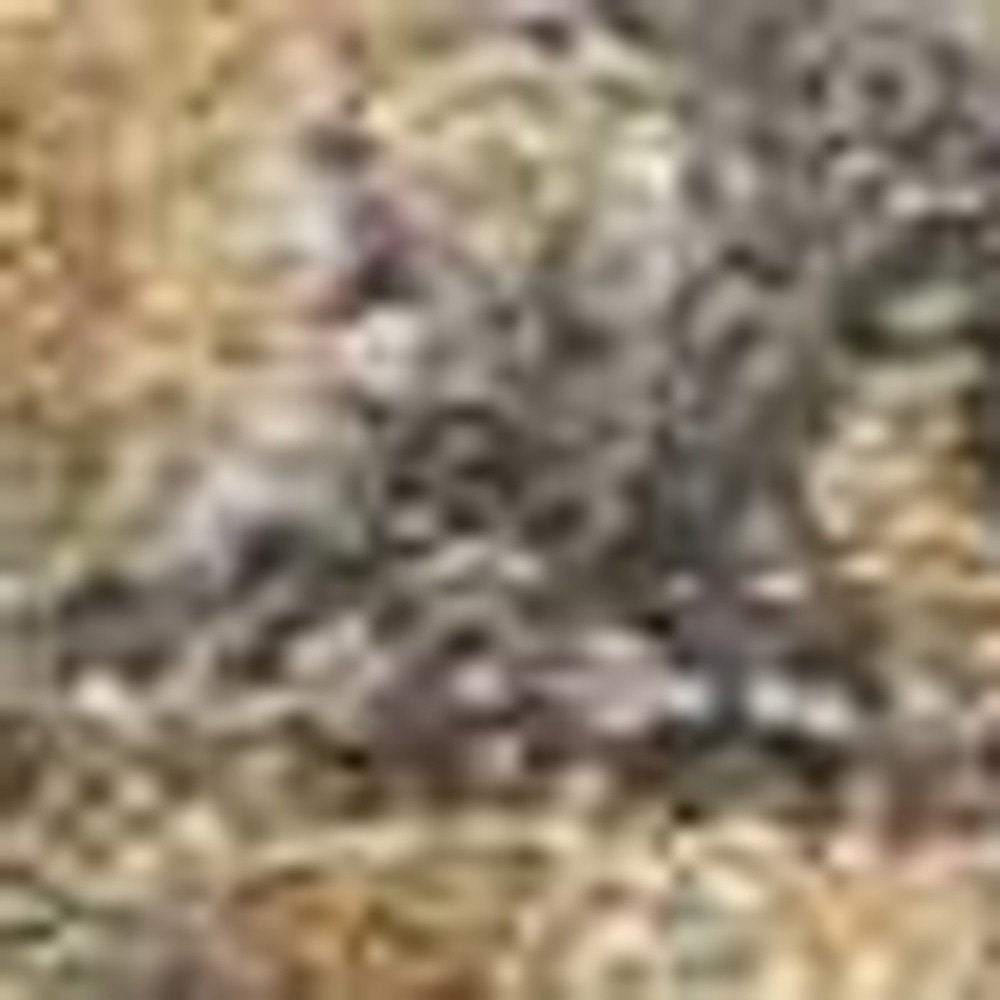 2' X 3' Brown And Gray Wool Medallion Area Rug