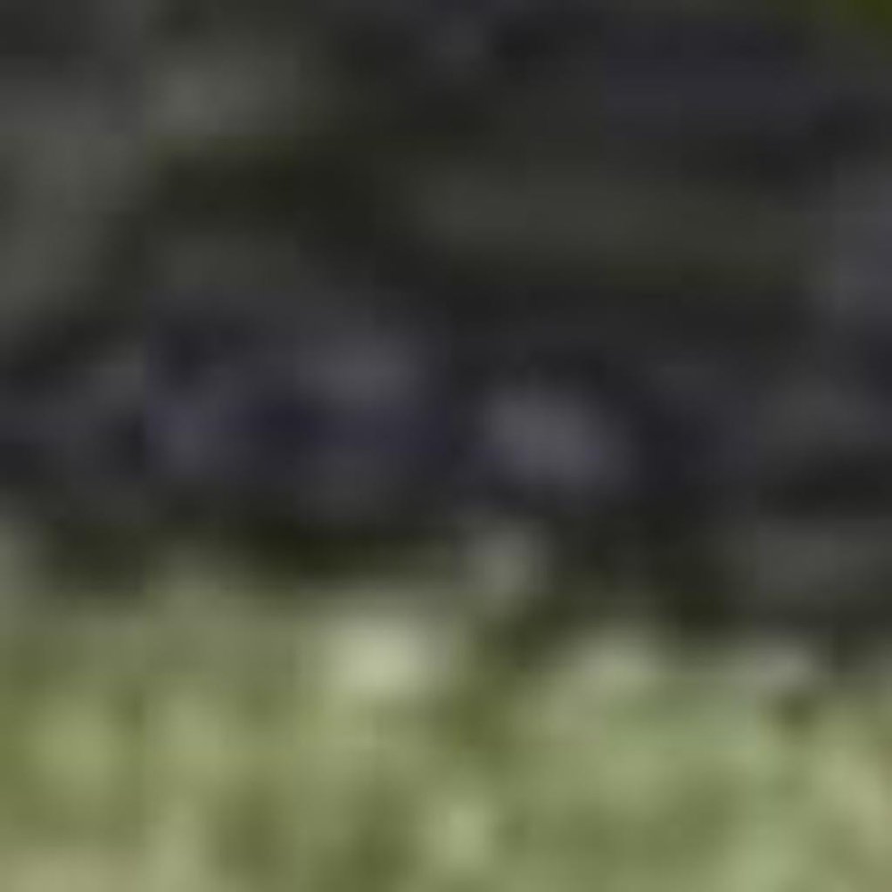 5' X 8' Gray Teal And Green Botanical Leaves Area Rug