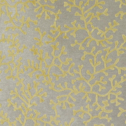 Duralee Dp61570 | 399-Pistachio  Print     - 376081