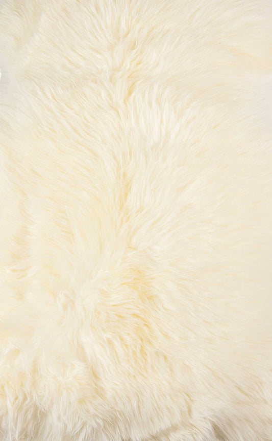2' X 3' Ivory Shag Area Rug