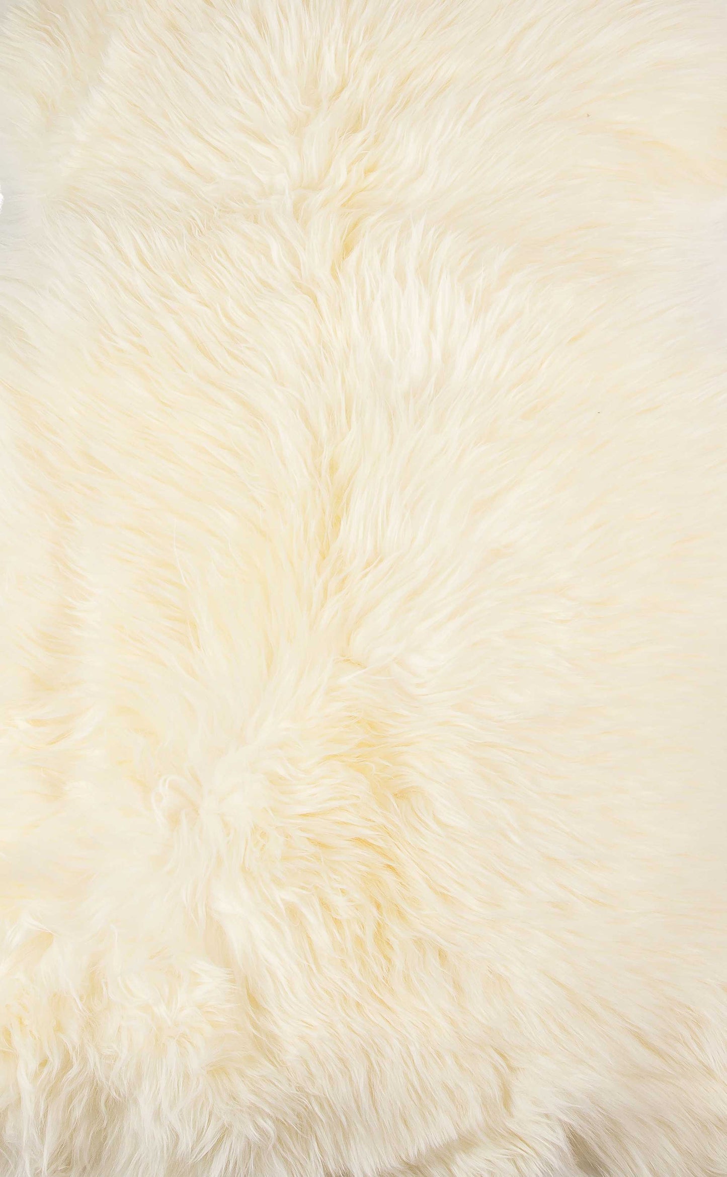 2' X 3' Yellow New Zealand Natural Sheepskin Rug