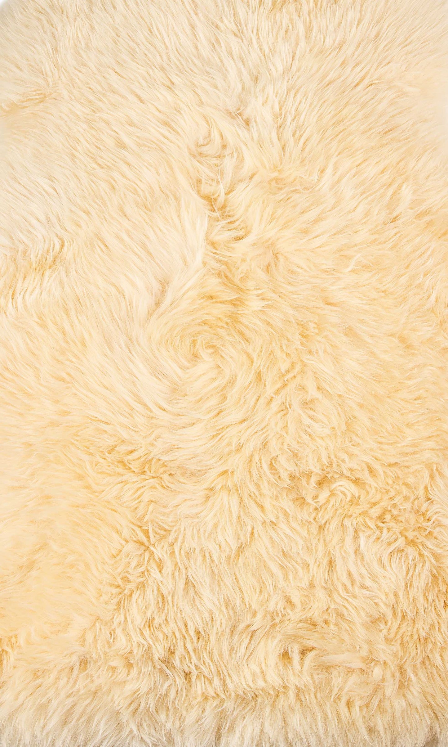 2' X 3' Navy New Zealand Natural Sheepskin Rug