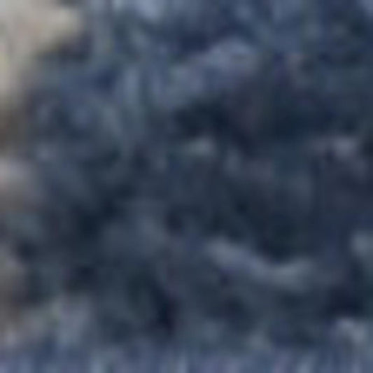 5' X 7' Blue And Orange Floral Distressed Area Rug