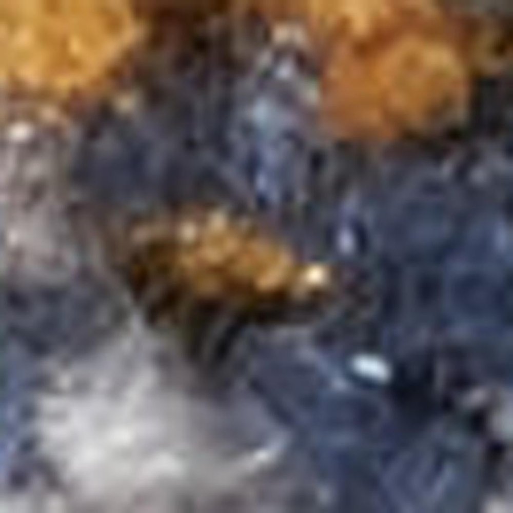 4' X 6' Gray Blue And Orange Quatrefoil Distressed Area Rug