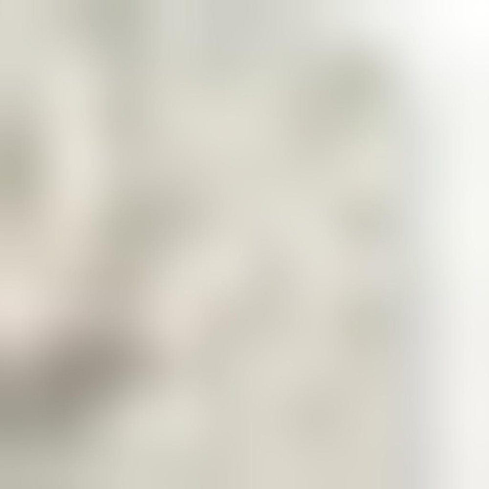 2' X 3' Gray And Ivory Medallion Distressed Area Rug