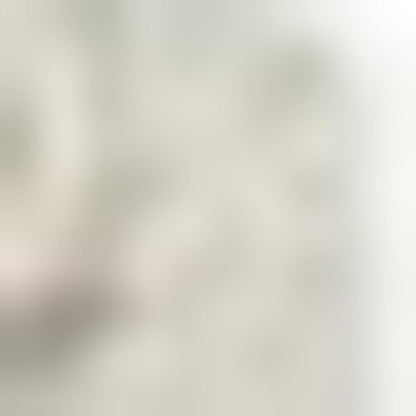 2' X 3' Gray And Ivory Medallion Distressed Area Rug