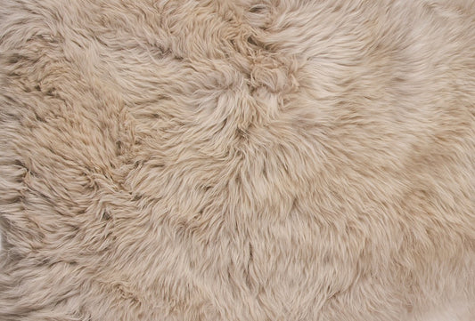 3' X 5' Taupe Natural Rectangular Sheepskin Area Rug