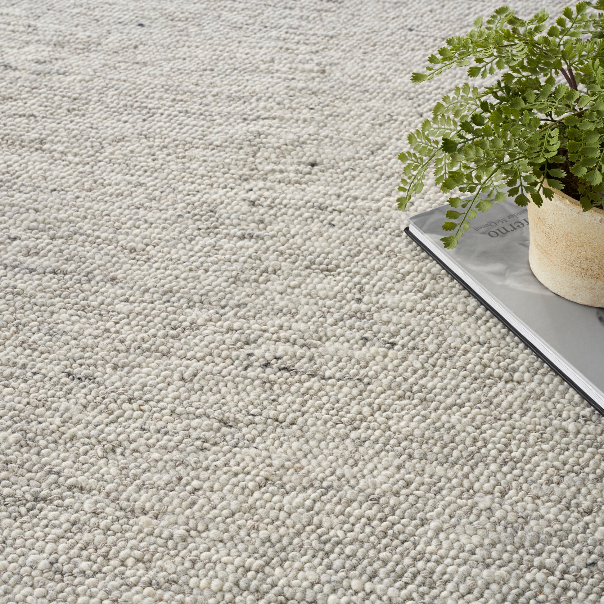 Cream textured loop-pile rug with a small potted fern resting on a gray magazine.