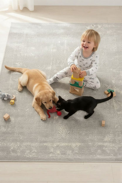 5' X 8' Modern Gray Distressed Area Rug