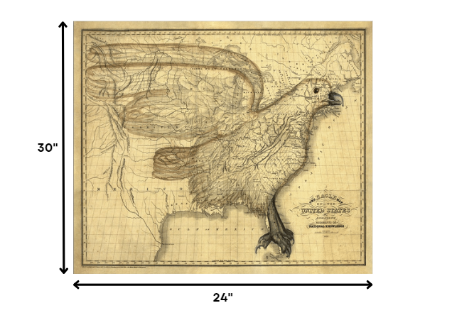 24" X 30" Eagle Map Of America C1833 Vintage  Poster Wall Art