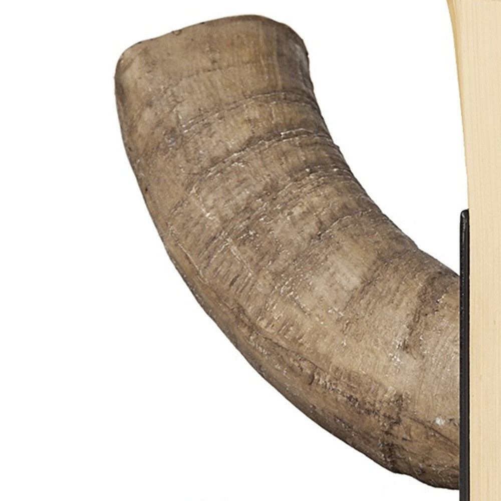 Bull Horn Replica Bookends