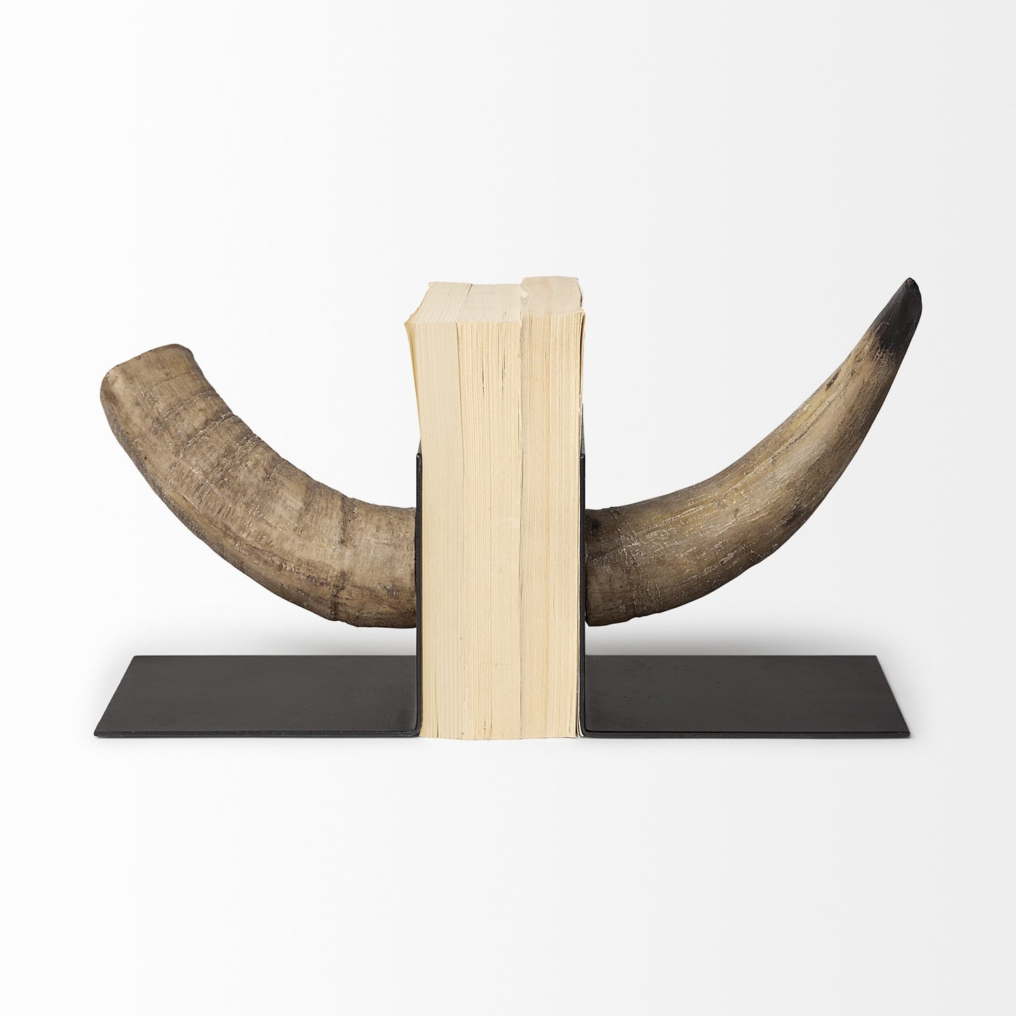 Bull Horn Replica Bookends