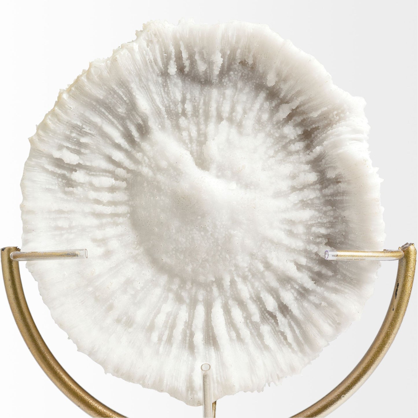 15" Gold and White Metal and Resin Sand Dollar Tabletop Sculpture