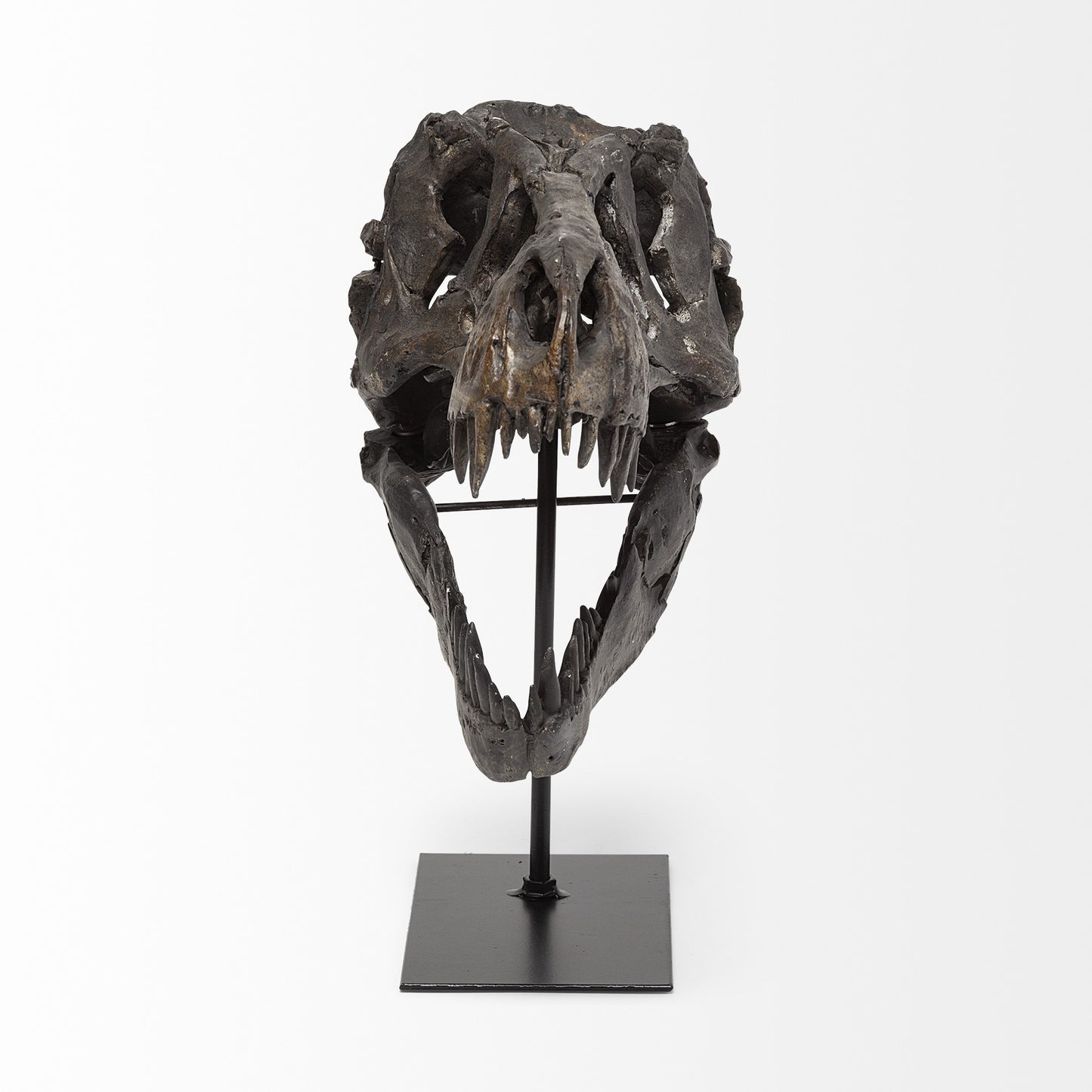 Brown Resin Tyrannosaurus Rex Skull Decor Piece