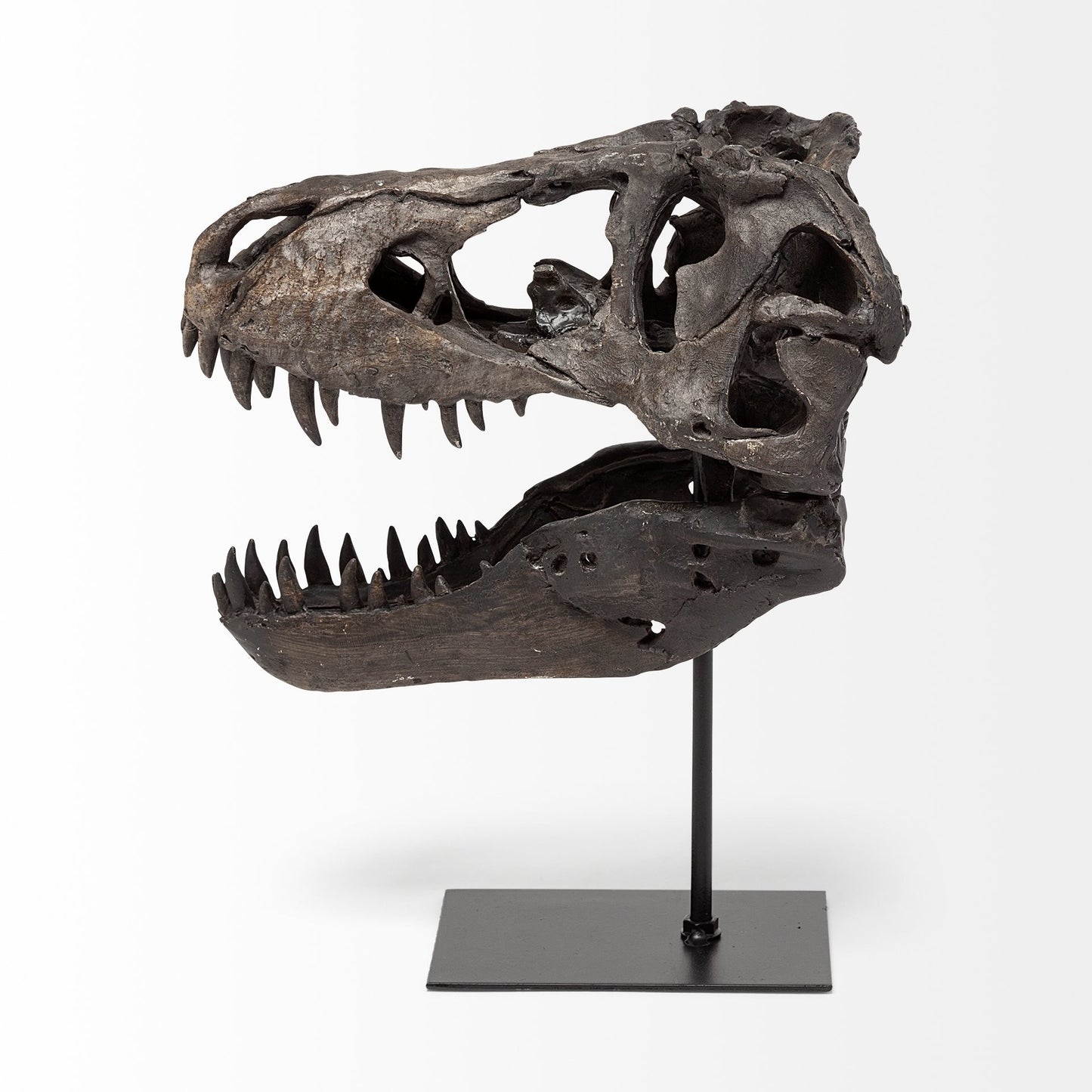 Brown Resin Tyrannosaurus Rex Skull Decor Piece