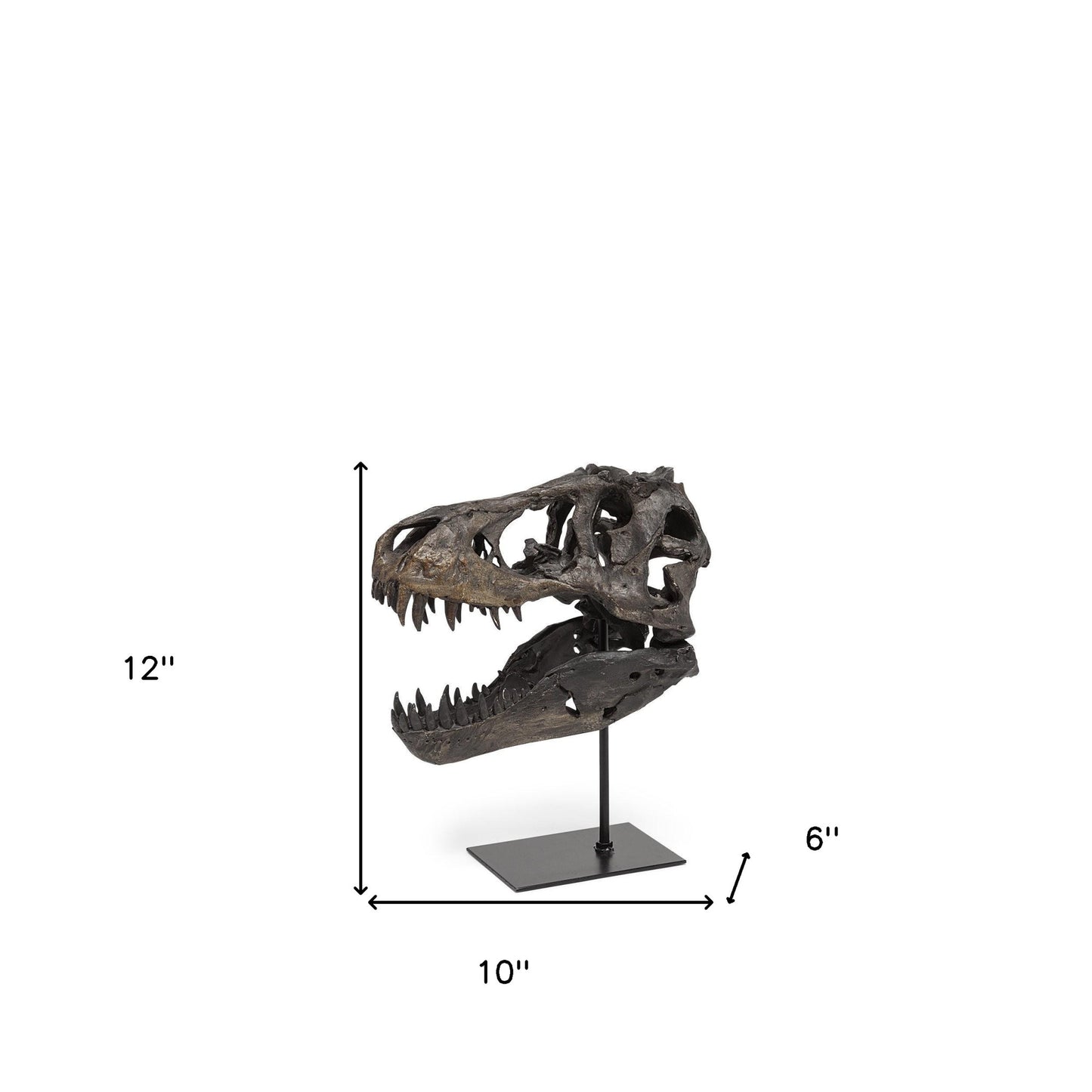 Brown Resin Tyrannosaurus Rex Skull Decor Piece