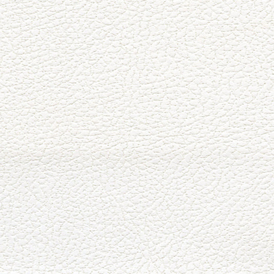 SCHUMACHER  ULTRALEATHER BRISA SOLEIL INDOOR/OUTDOOR WOVEN WOVEN POLAR   - 393-5750