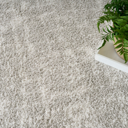 Cream shag rug with plush high-pile texture; beige tones, white tray edge with a green fern.