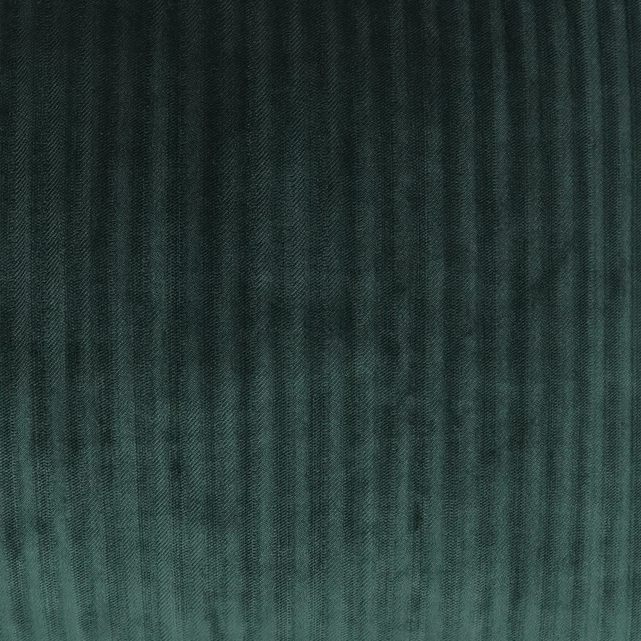 Dark green corduroy fabric with vertical ridges and soft plush texture.