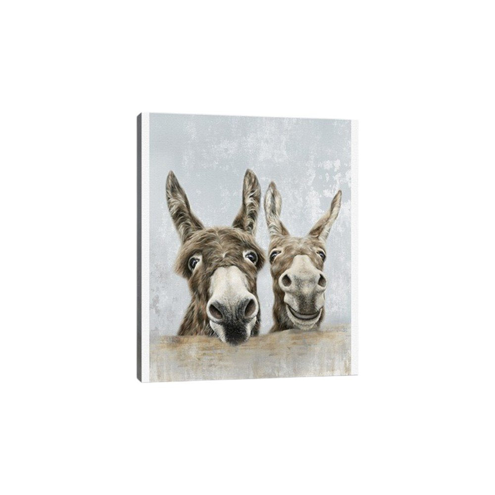 Cute Donkeys Canvas Unframed Print Wall Art