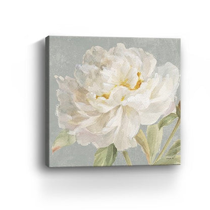 Angelic White Peony Flower Unframed Print Wall Art