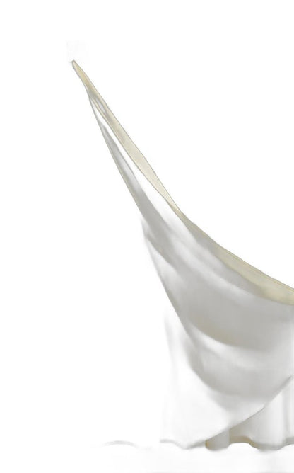 Ivory Sheer and Grid Shower Curtain and Liner Set