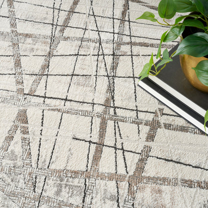 Beige abstract area rug with brown and black linear grid pattern; plant in a gold pot and a notebook on edge.