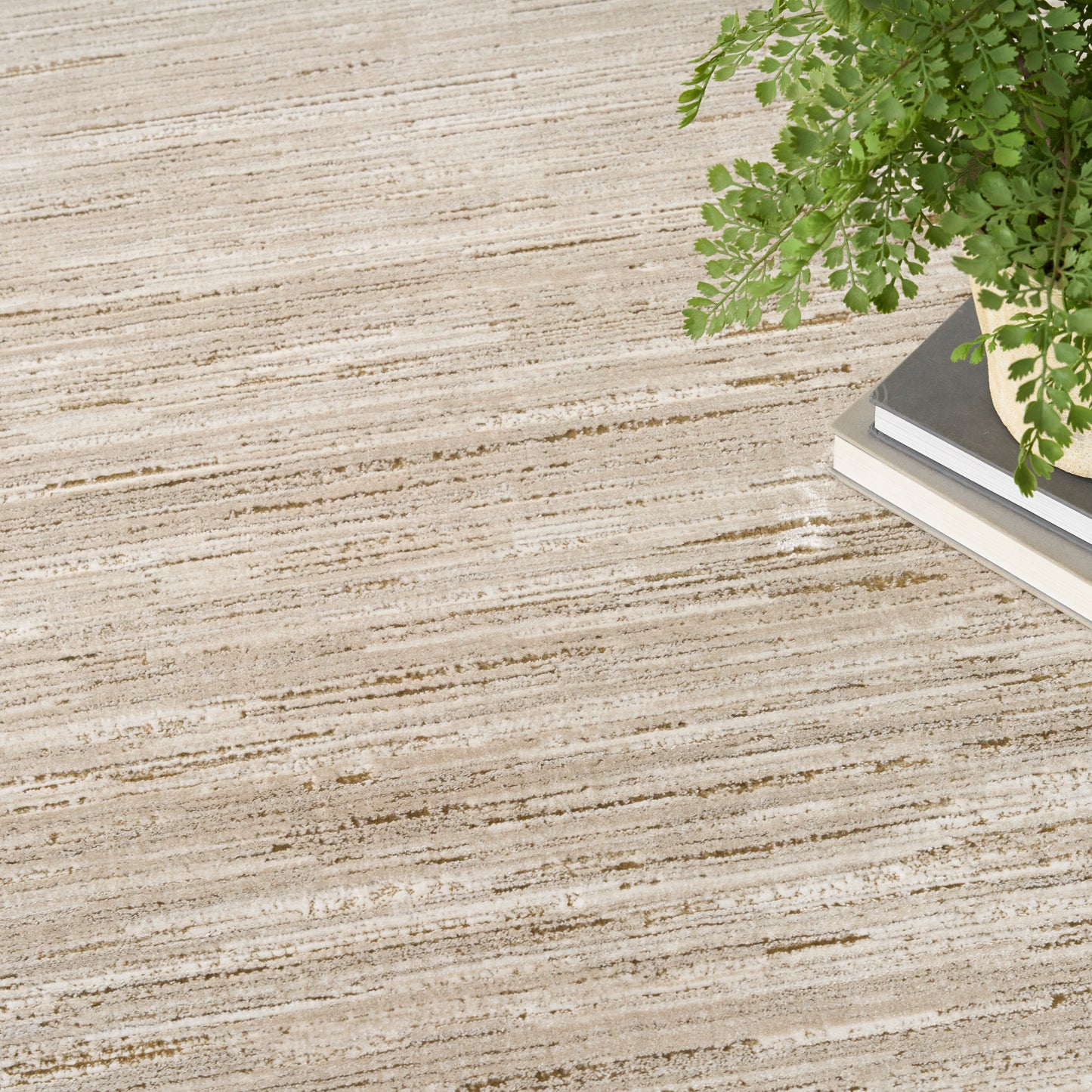 Beige striped rug with brown linear pattern; green fern in corner atop stacked books.