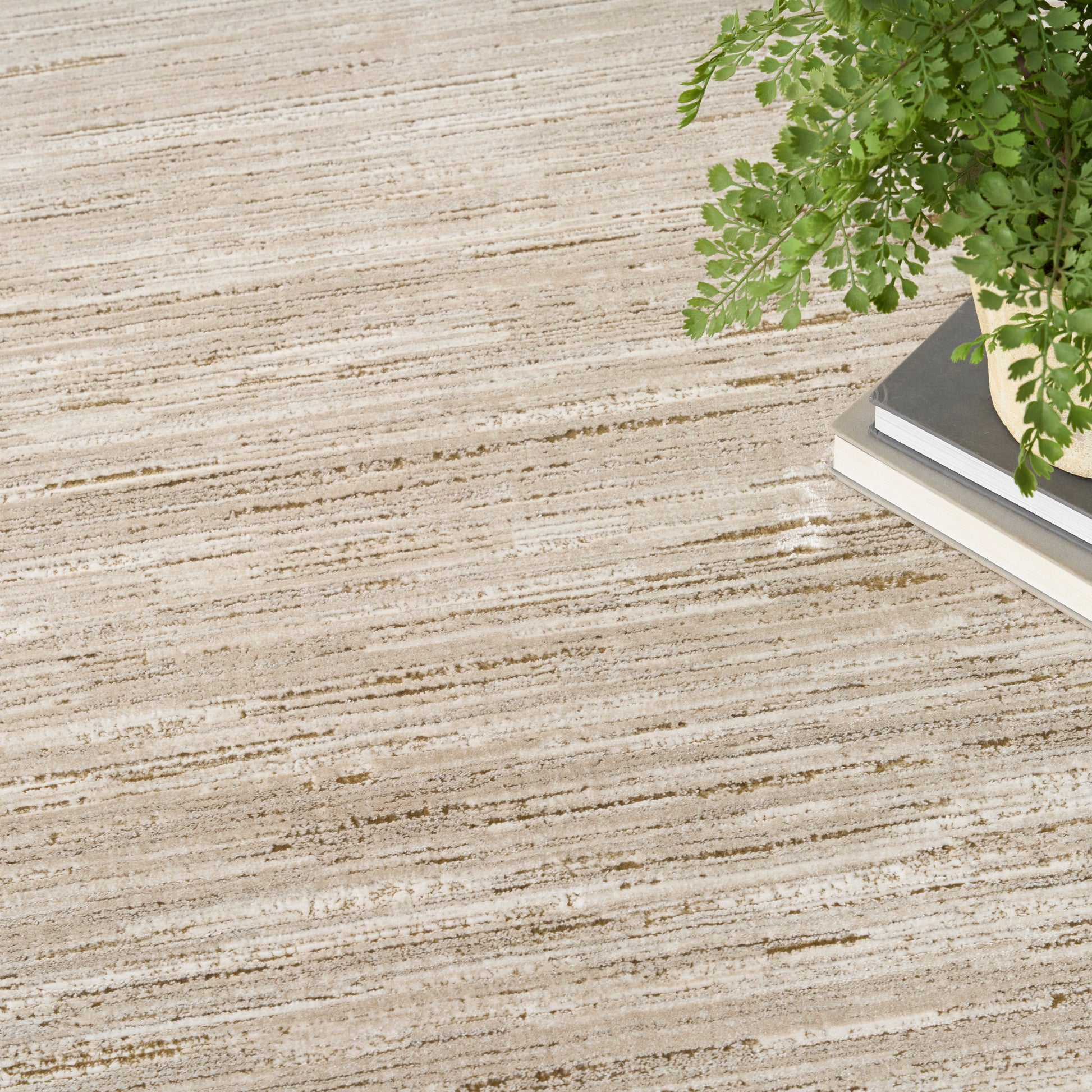 Beige striped rug with brown linear pattern; green fern in corner atop stacked books.