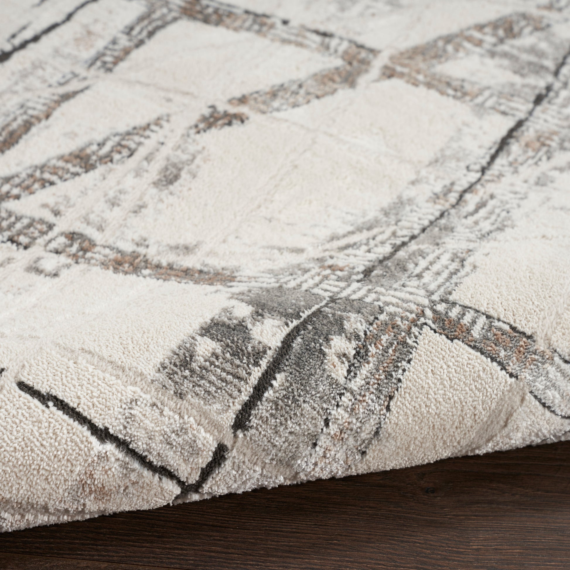 Beige abstract patterned rug with gray lines, plush tufted pile on dark wood floor.