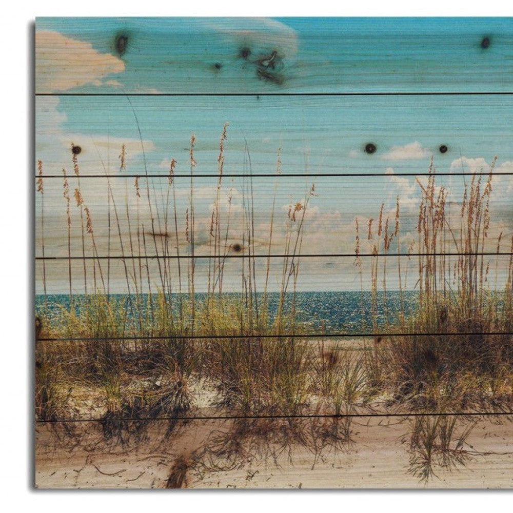 Ocean Sand Dunes Unframed Photograph Wall Art